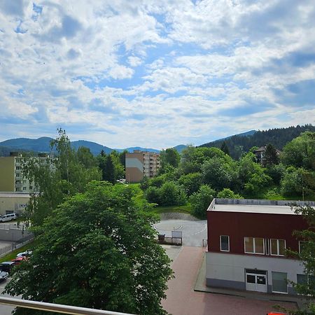 Wolf Apartman Pokojne Ubytovanie V Povazskej Bystrici Ticha Lokalita S Parkovanim Vsade Blizko Vhodne Pre Pracovne Cesty Turistiku Aj Oddych Plne Vybavena Kuchyna Považská Bystrica Eksteriør billede