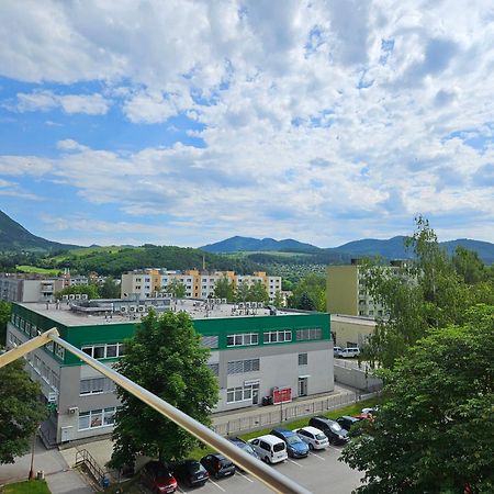 Wolf Apartman Pokojne Ubytovanie V Povazskej Bystrici Ticha Lokalita S Parkovanim Vsade Blizko Vhodne Pre Pracovne Cesty Turistiku Aj Oddych Plne Vybavena Kuchyna Považská Bystrica Eksteriør billede