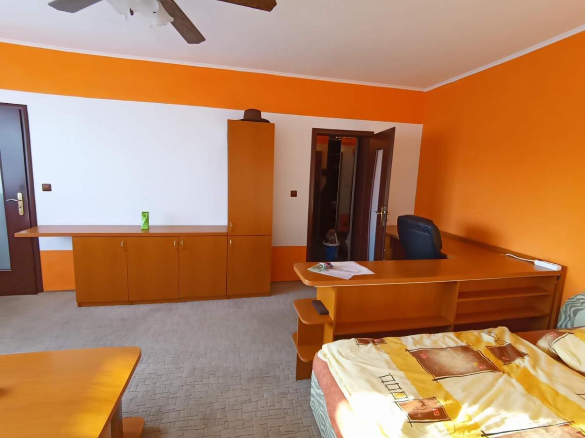 Wolf Apartman Pokojne Ubytovanie V Povazskej Bystrici Ticha Lokalita S Parkovanim Vsade Blizko Vhodne Pre Pracovne Cesty Turistiku Aj Oddych Plne Vybavena Kuchyna Považská Bystrica Eksteriør billede