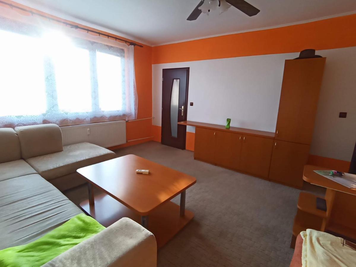 Wolf Apartman Pokojne Ubytovanie V Povazskej Bystrici Ticha Lokalita S Parkovanim Vsade Blizko Vhodne Pre Pracovne Cesty Turistiku Aj Oddych Plne Vybavena Kuchyna Považská Bystrica Eksteriør billede