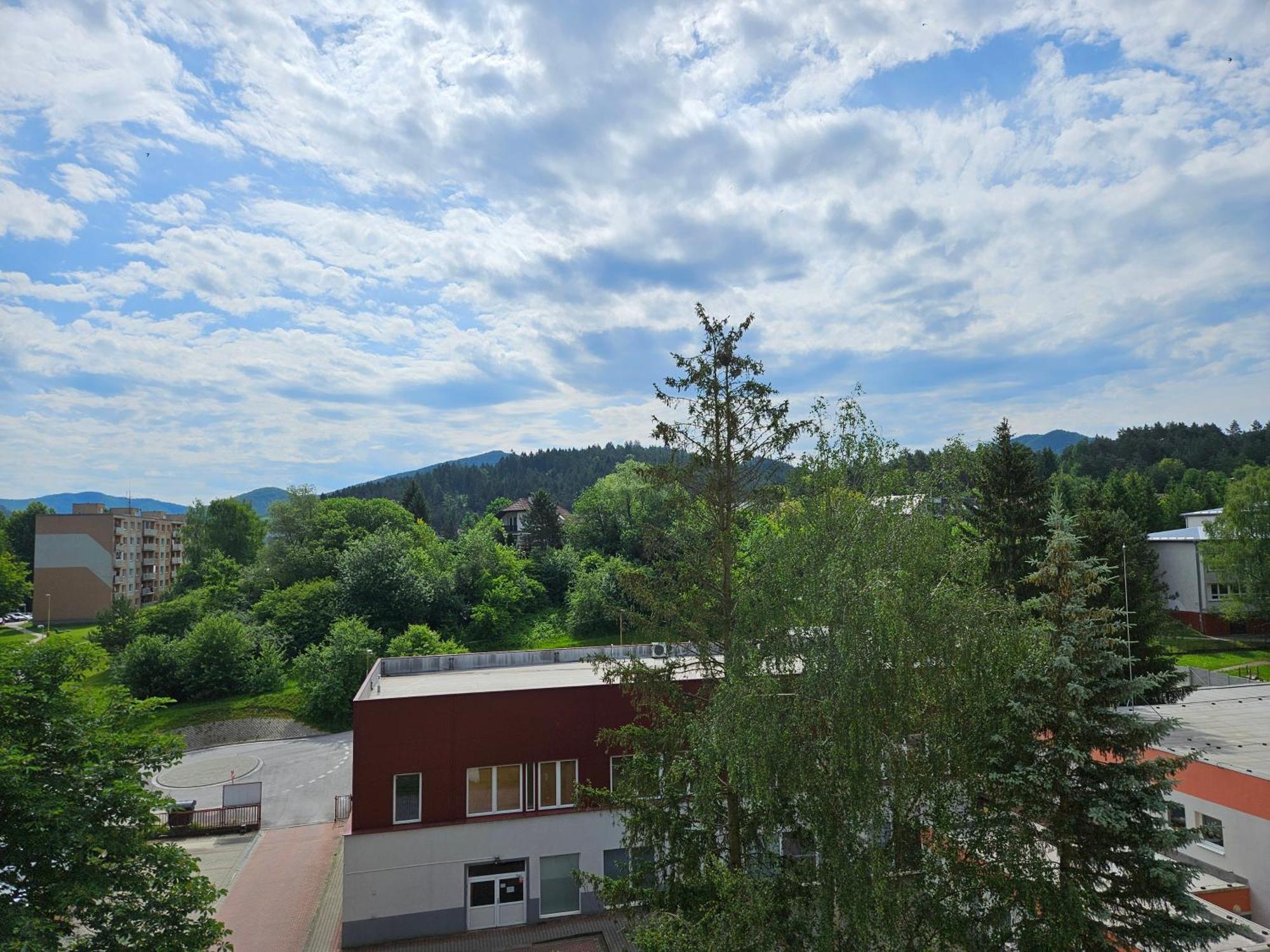 Wolf Apartman Pokojne Ubytovanie V Povazskej Bystrici Ticha Lokalita S Parkovanim Vsade Blizko Vhodne Pre Pracovne Cesty Turistiku Aj Oddych Plne Vybavena Kuchyna Považská Bystrica Eksteriør billede
